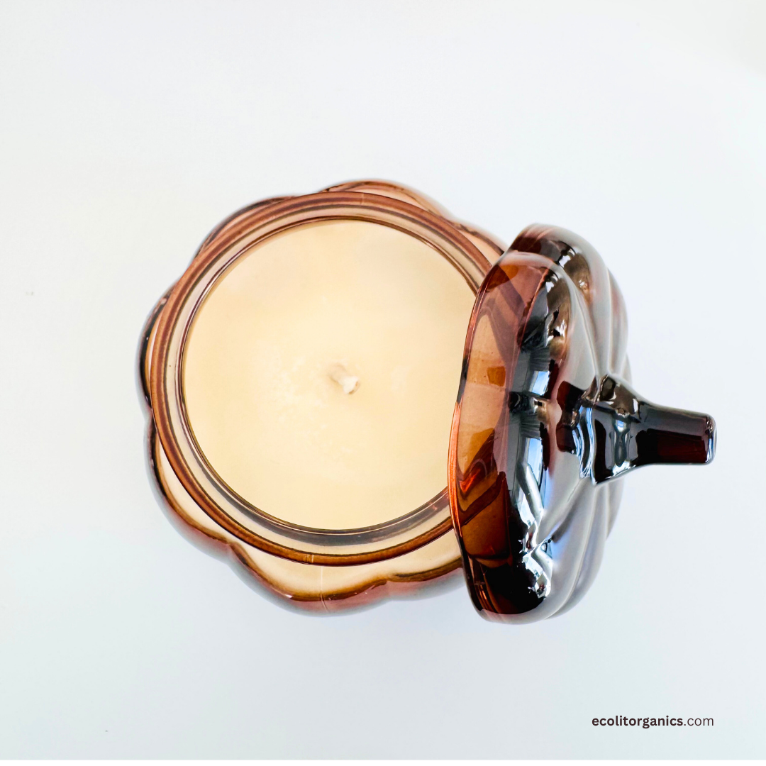 Spiced Ember Soy Candle | Cinnamon & Vanilla Scent | Pumpkin Jar Candle | Ecolit Organics