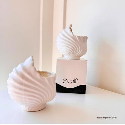 Ocean Whisper Shell Candle | Handmade Soy Wax Seashell Candle with Ocean Breeze Fragrance | Coastal Home Decor Gift