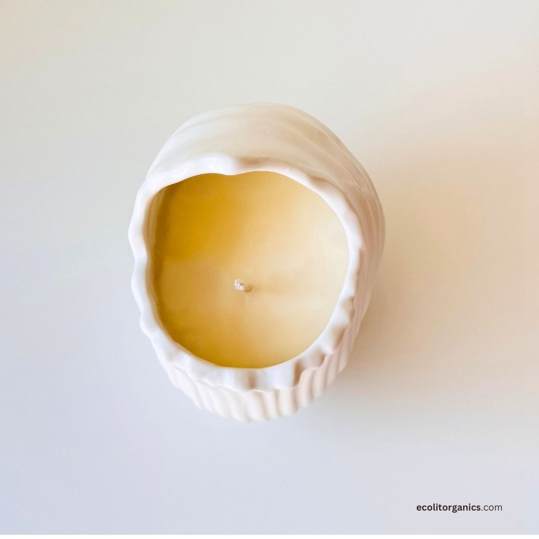 Ocean Whisper Shell Candle | Handmade Soy Wax Seashell Candle with Ocean Breeze Fragrance | Coastal Home Decor Gift