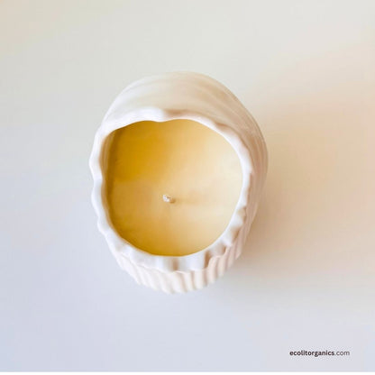 Ocean Whisper Shell Candle | Handmade Soy Wax Seashell Candle with Ocean Breeze Fragrance | Coastal Home Decor Gift