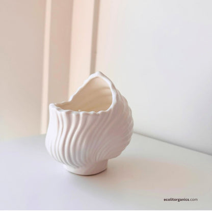 Ocean Whisper Shell Candle | Handmade Soy Wax Seashell Candle with Ocean Breeze Fragrance | Coastal Home Decor Gift