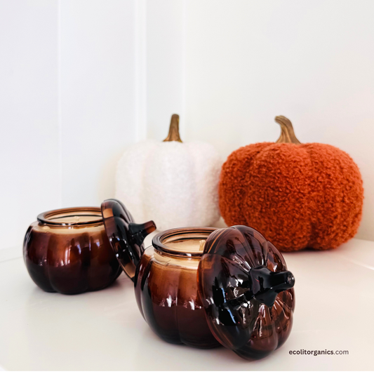 Spiced Ember Soy Candle | Cinnamon & Vanilla Scent | Pumpkin Jar Candle | Ecolit Organics