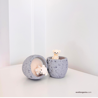 Mini Bear Candle Set | Vanilla & Orchid Scent | Handmade Gift | Ecolit Organics