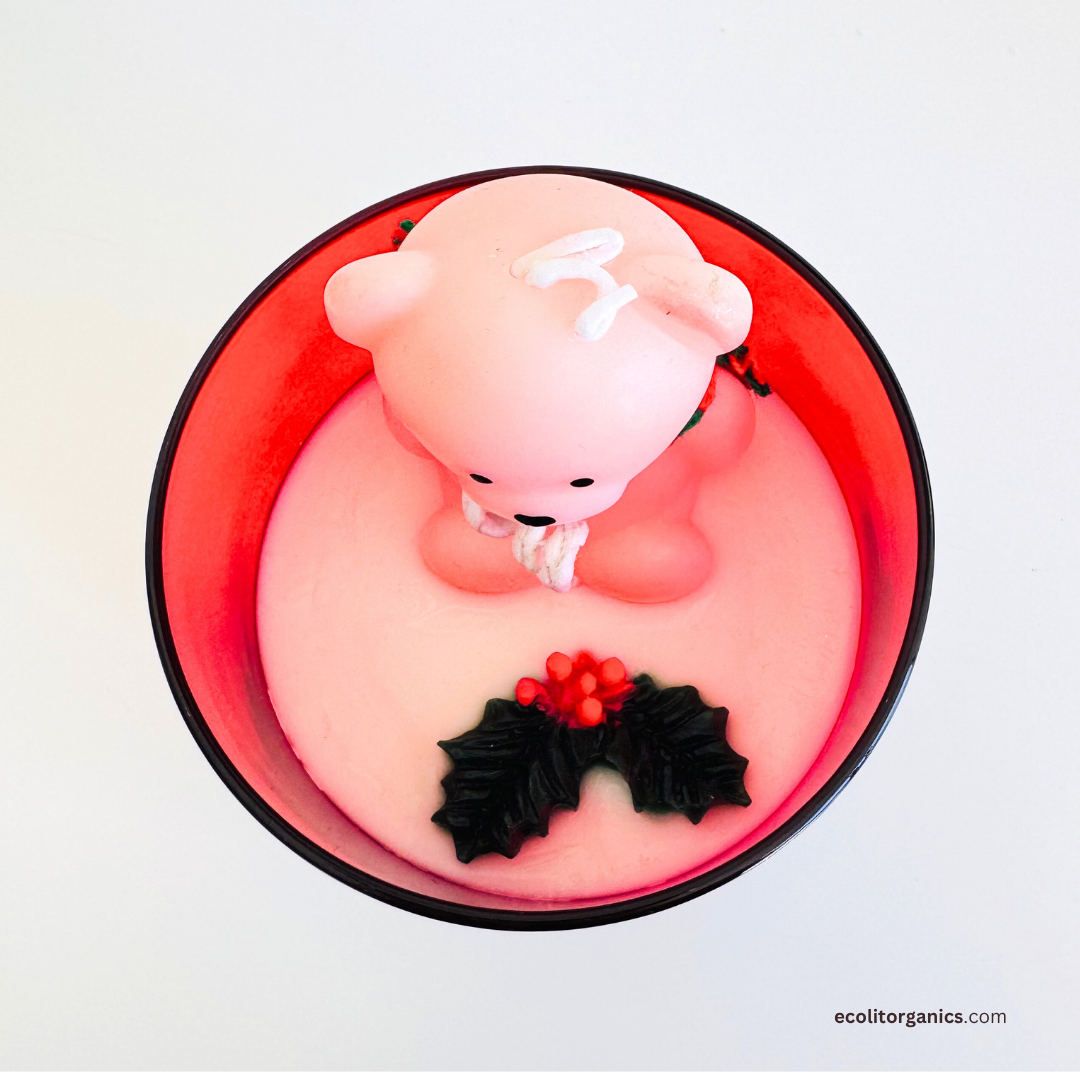 Winter Ivy Soy Candle | Winter Pine & Ivy Scent | Handmade Holiday Candle | Ecolit Organics